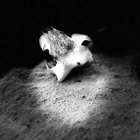 Kapitaenskajuete Am Bakenberg Apartman