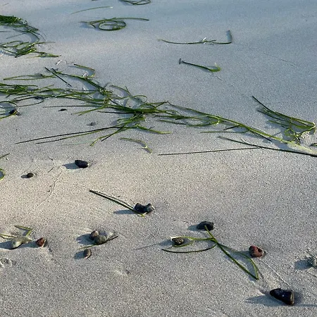 Apartman Kapitaenskajuete Am Bakenberg Dranske