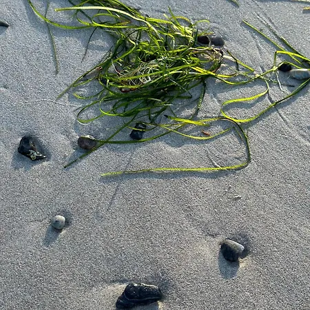 Kapitaenskajuete Am Bakenberg Apartman