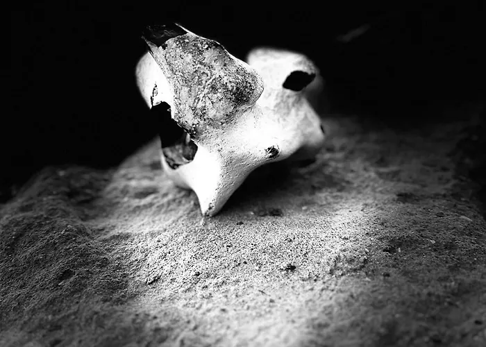 Kapitaenskajuete Am Bakenberg Διαμέρισμα